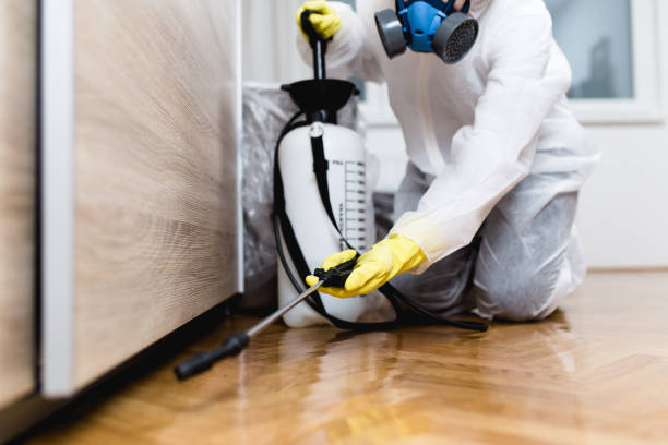 Best Local Pest Control Services  in Sidney, IL