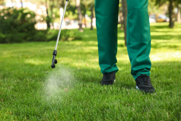 Professional Pest Control in Sidney, IL