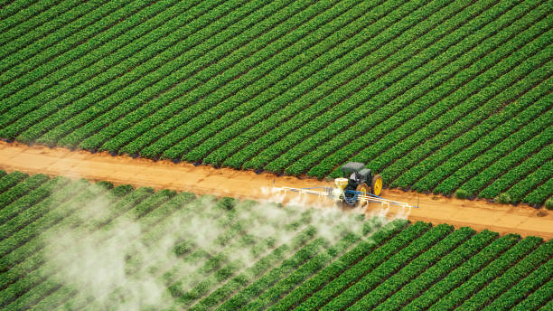 Best Pest Removal Services  in Sidney, IL