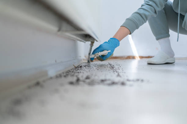 Best Insect Control  in Sidney, IL